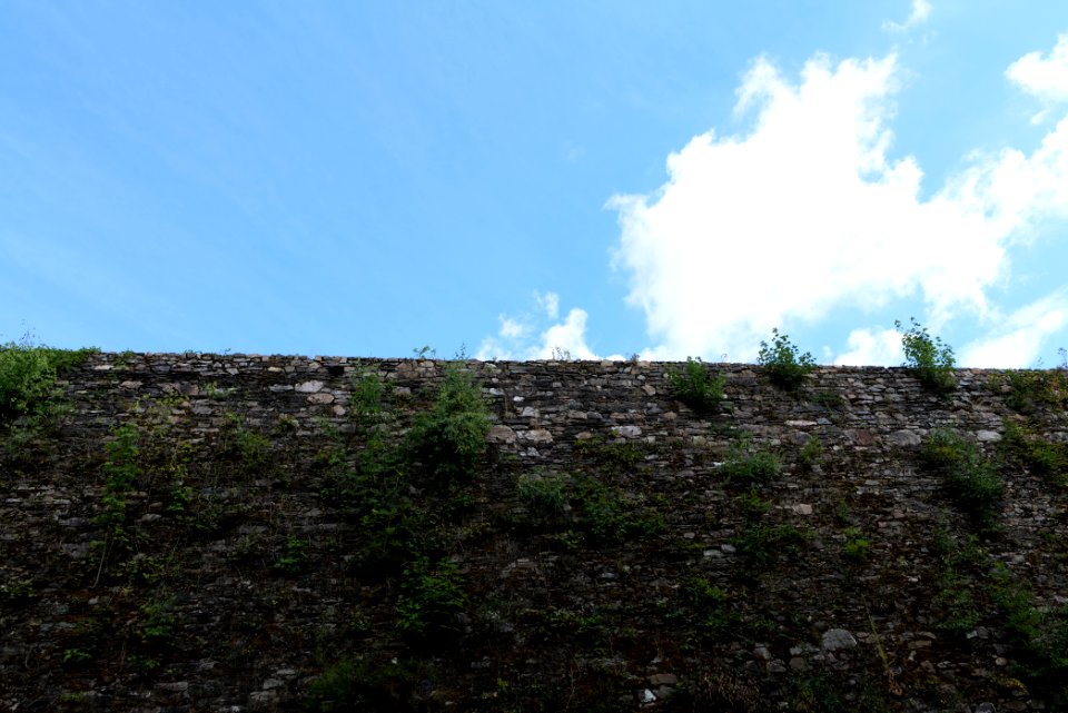 Burg Königstein 2020-08-18 06