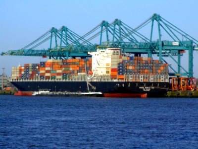 Bunga Seroja Dua IMO 9315381, Port of Antwerp 19Dec2008