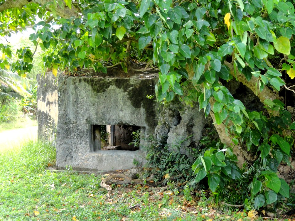 Bunker - War in the Pacific National Historical Park (Ga'an Point) - DSC00894