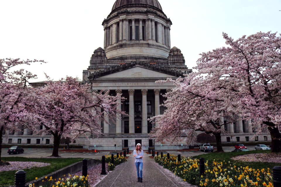 State spring america