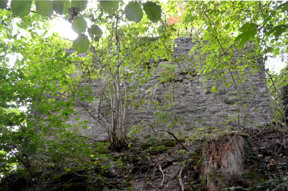 Burg Irslingen, Nordwestseite (2)