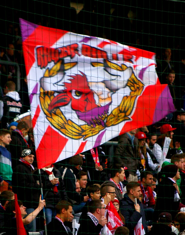 Bundesliga FC Red Bull Salzburg gegen SV Grödig 05