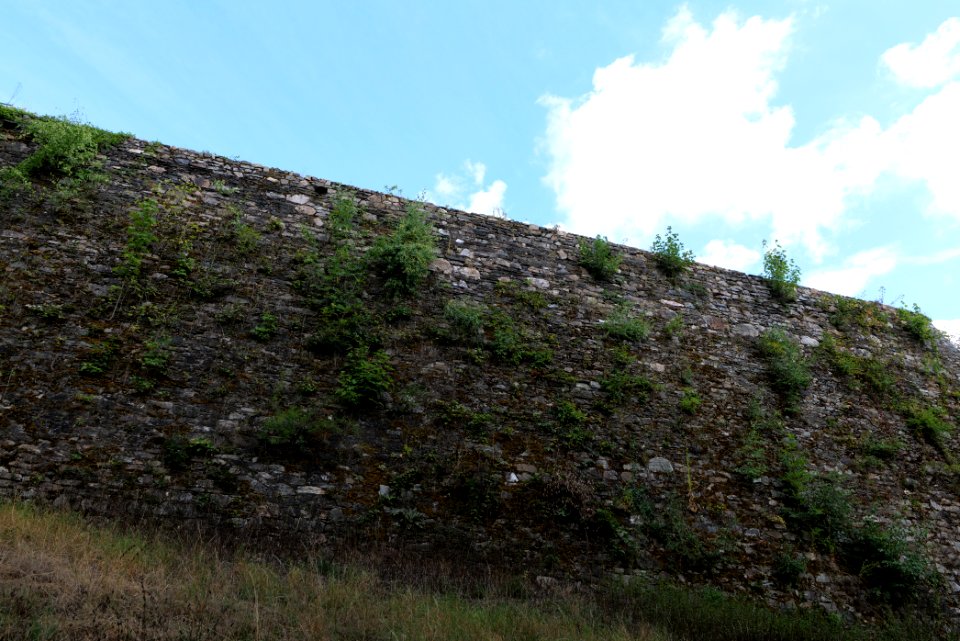 Burg Königstein 2020-08-18 04