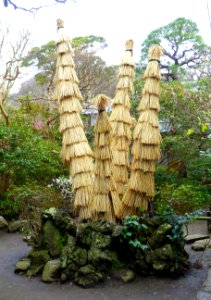 Bundle up - Hokai-ji - Kamakura, Kanagawa, Japan - DSC08449