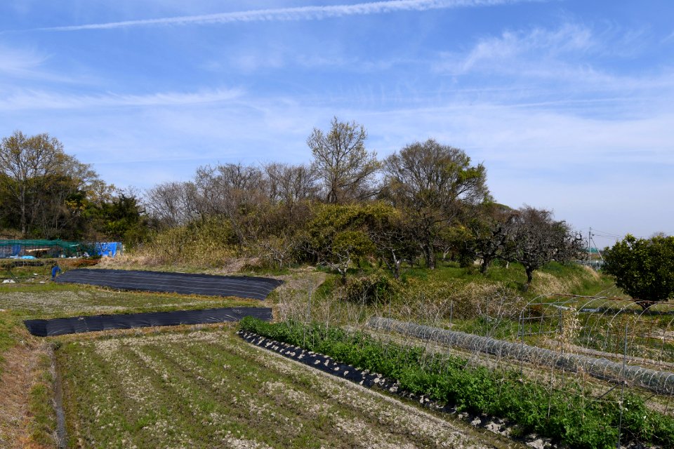 Bunjiroyama Kofun, funkyu