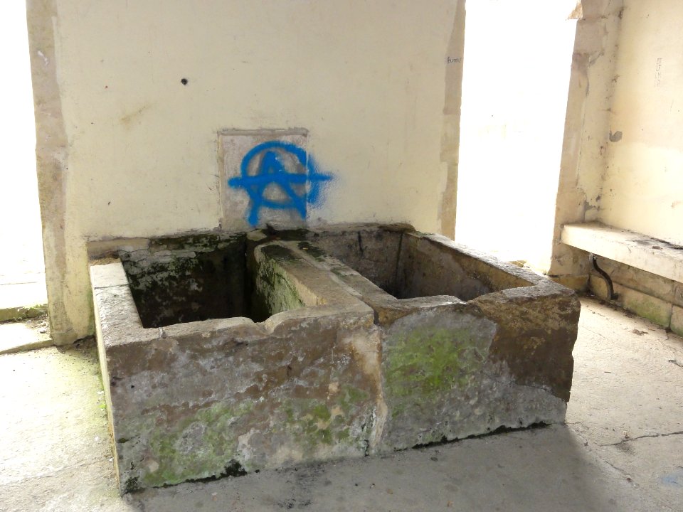 Buissoncourt (M-et-M) lavoir intérieur