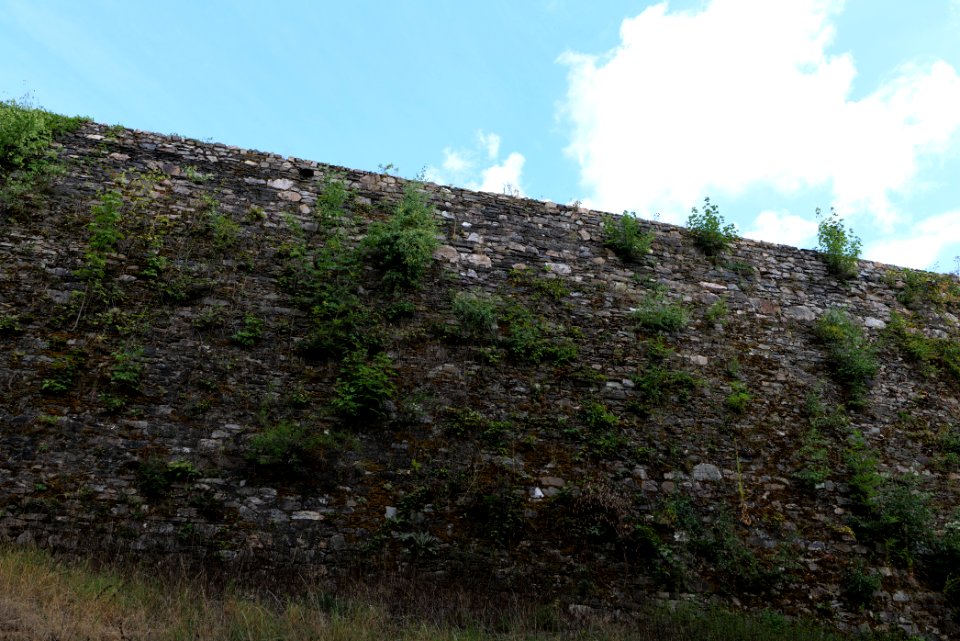 Burg Königstein 2020-08-18 05