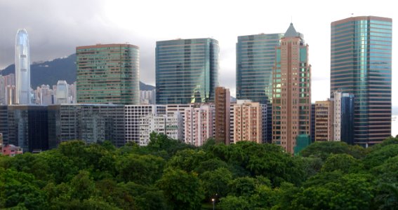 Buildings above Kowloon Park, Tsim Sha Tsui, Kowloon, Hong Kong - DSC00651