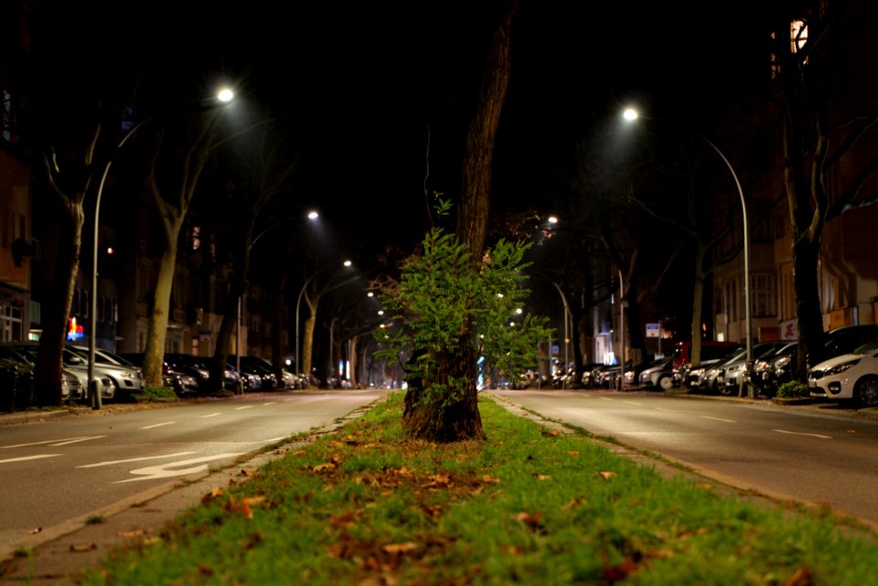 Bundesallee Berlin-Friedenau at night 2021-01-08 01