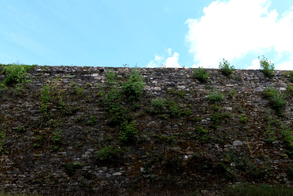 Burg Königstein 2020-08-18 07