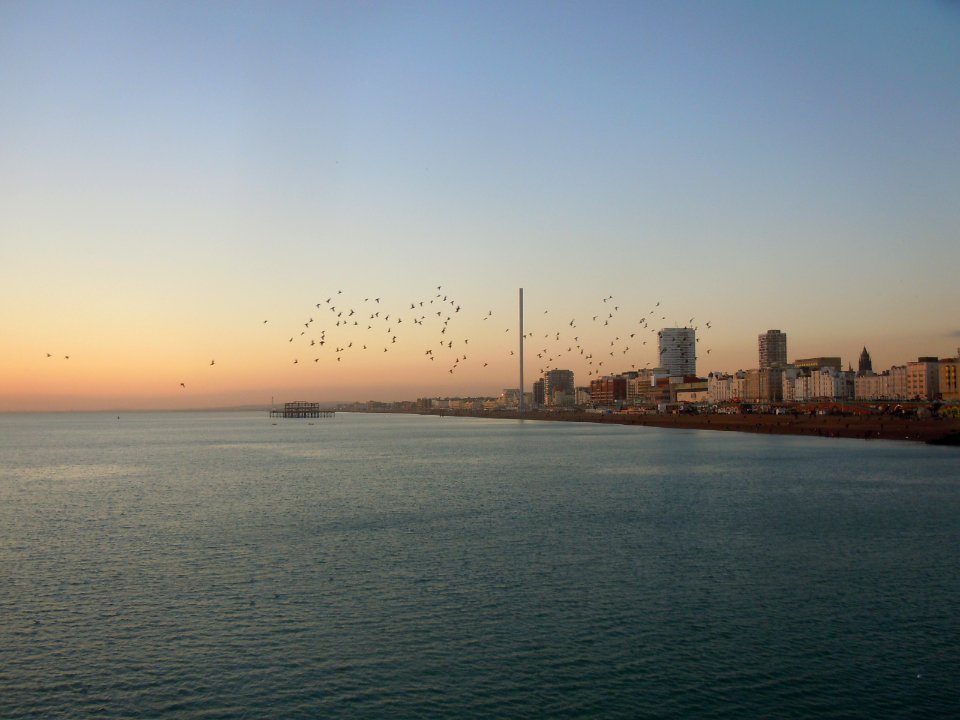 Buildings on Brighton Seafront (January 2017, seen from Palace Pier at sunset) (12)