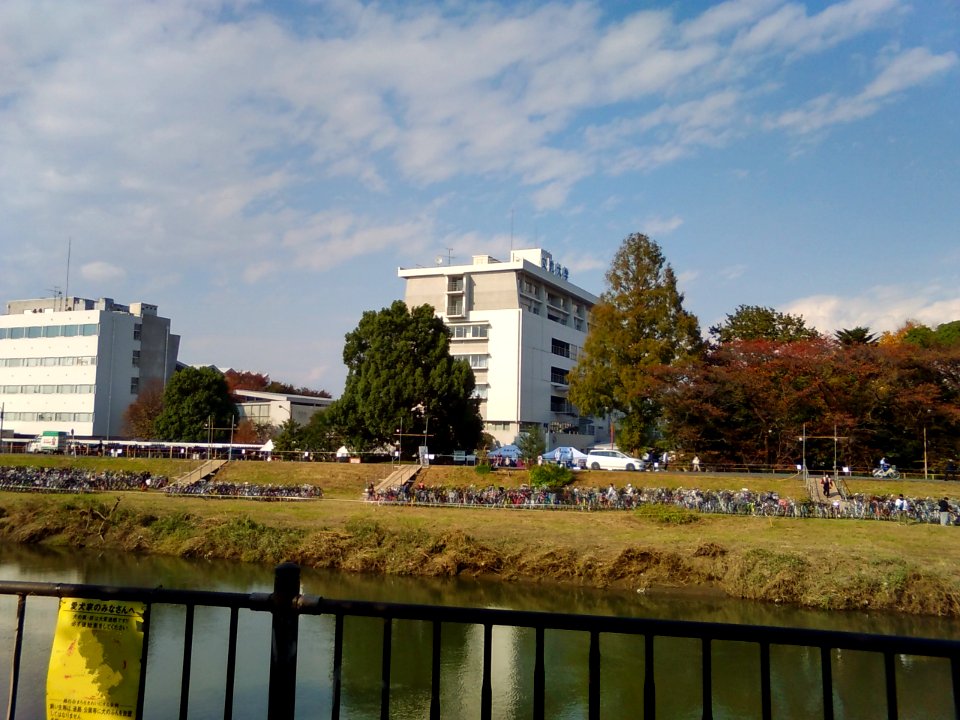 Bunkyo-Univ-Koshigaya-2017110401