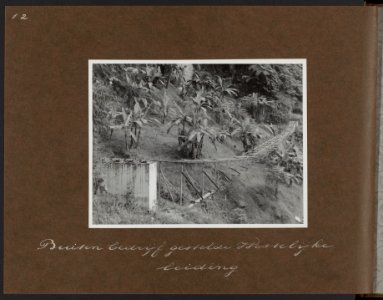 Buiten bedrijf gestelde westelijke waterleiding in tropisch landschap met palmbo, Bestanddeelnr 827 14
