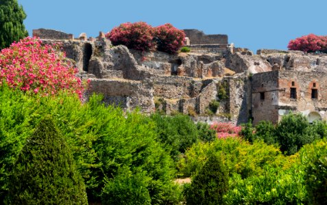 Buildings at Pompeii