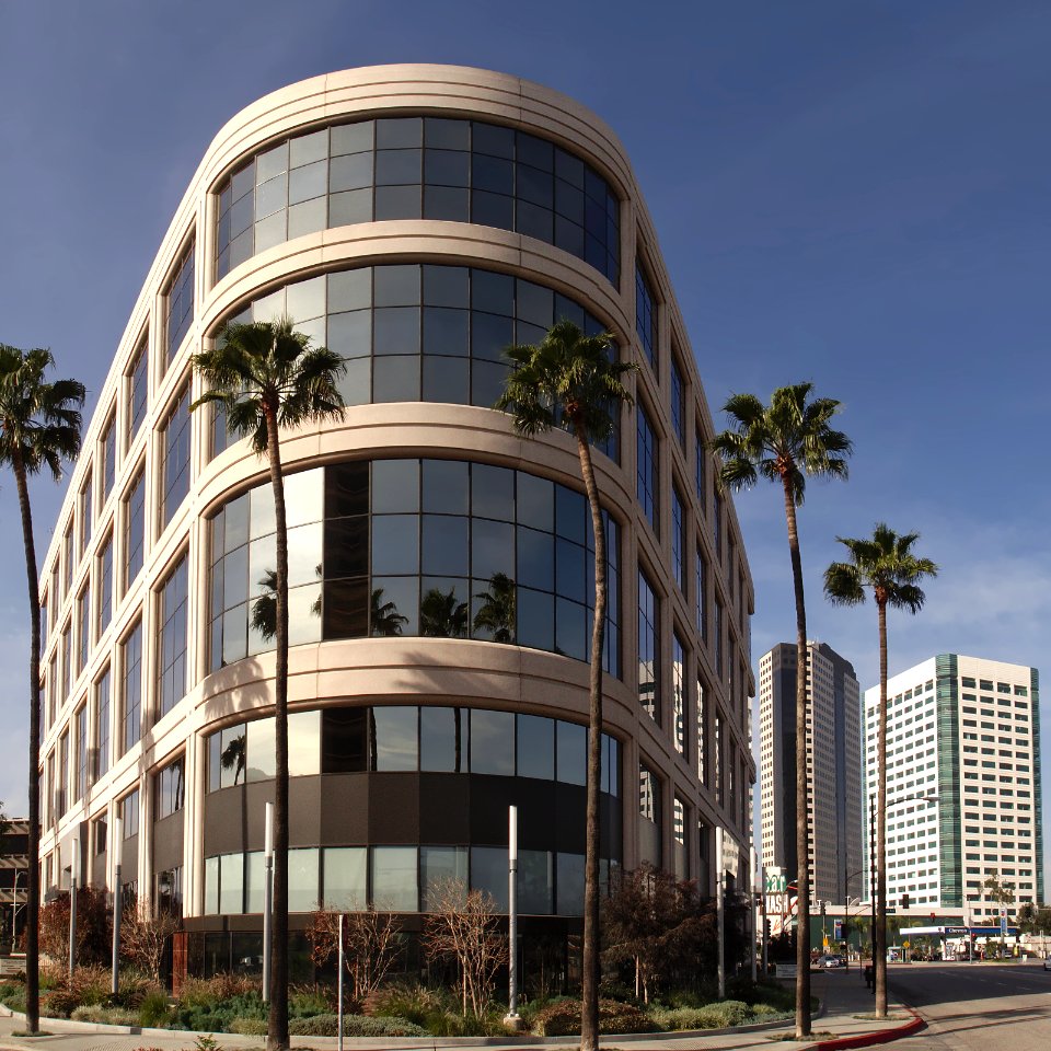 Buildings from riverside and olive