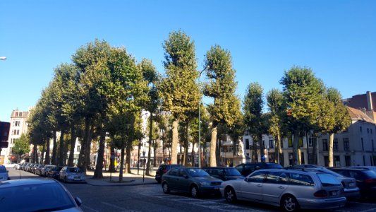 Brussel-Nieuwe Graanmarkt (2)