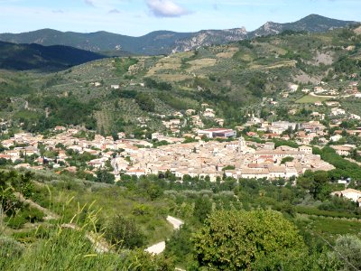Buis-les-Baronnies Vue d'ensemble 47
