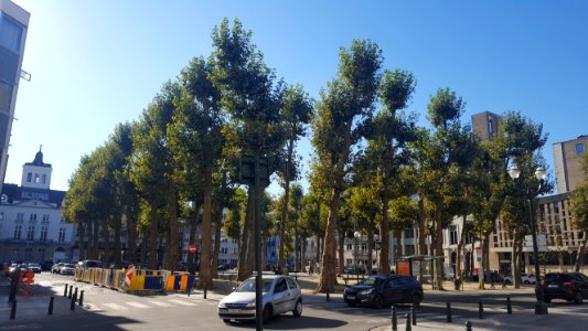 Brussel-Nieuwe Graanmarkt (1)