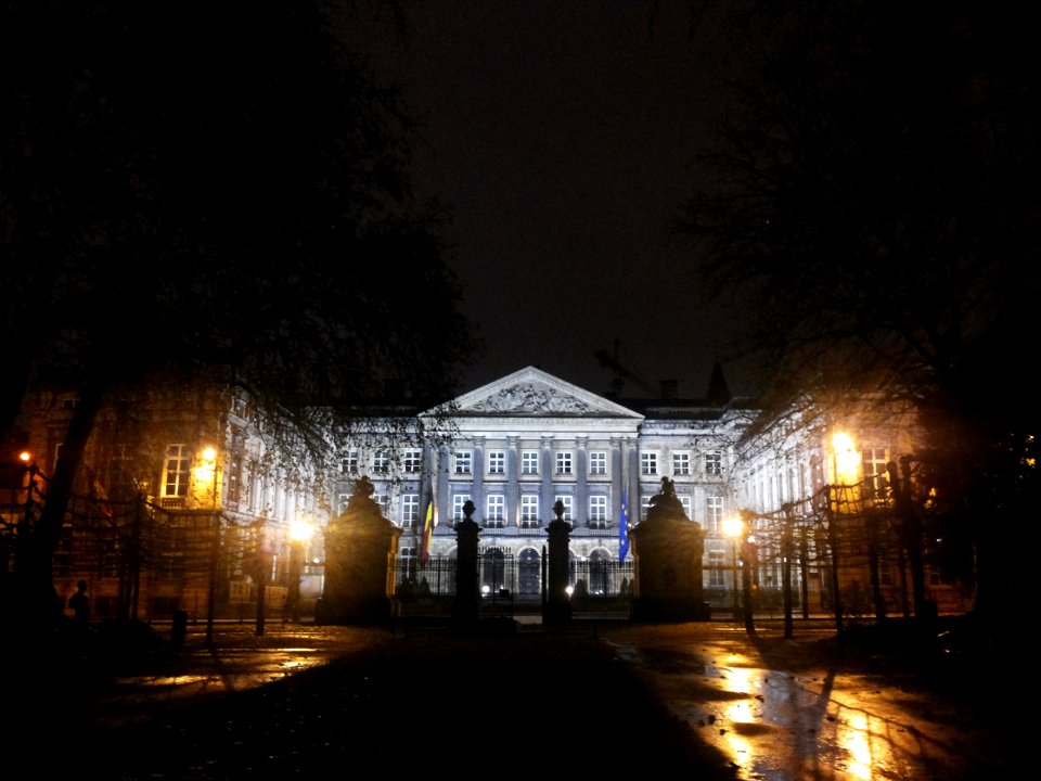 Brussel-Paleis der Natie in de nacht (1)