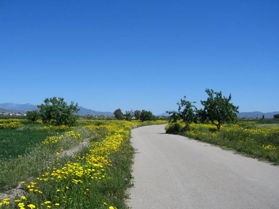The road path landscape