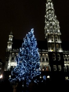 Brussel-Lights on Grand Place (1) photo