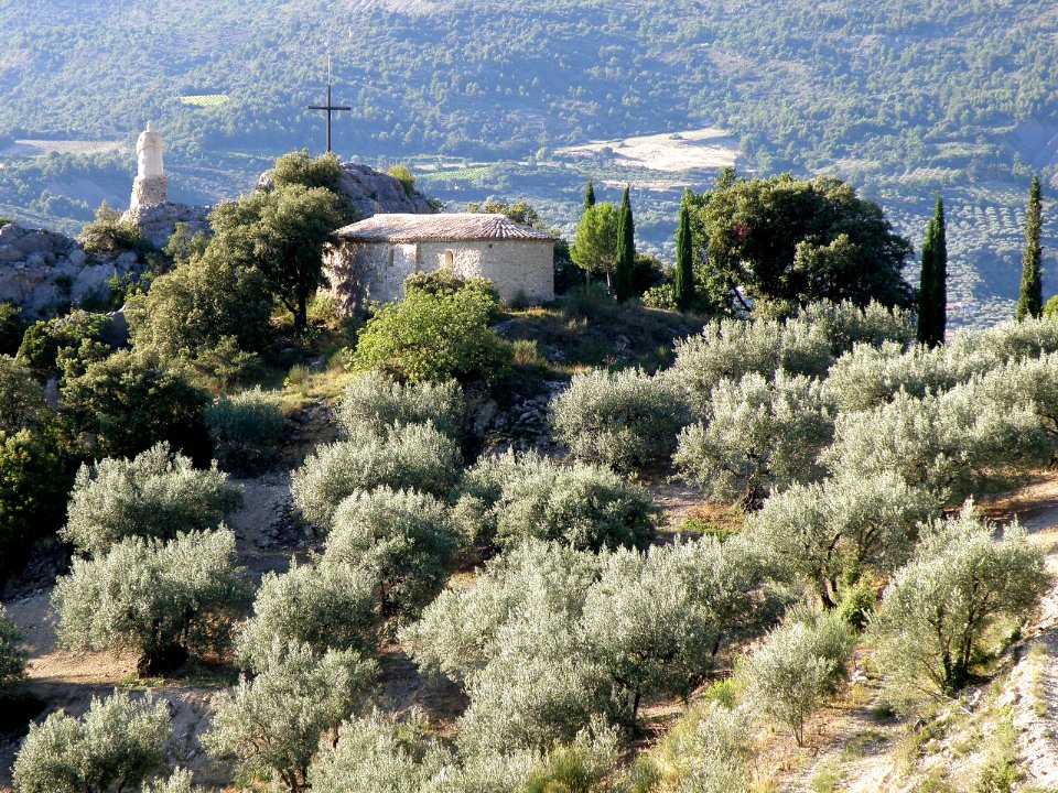 Buis-les-Baronnies Chapelle Saint-Trophime 13