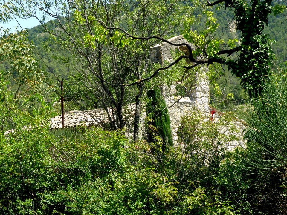 Buis-les-Baronnies Chapelle Saint-Martin 7