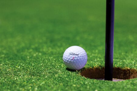 Golf course cup field