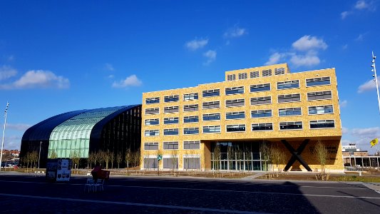 Brussels Environnement building (7)