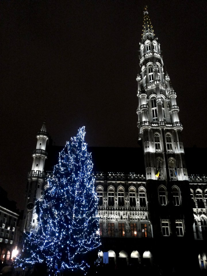 Brussel-Lights on Grand Place (2)