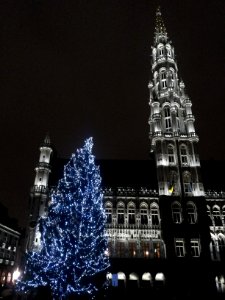 Brussel-Lights on Grand Place (2)