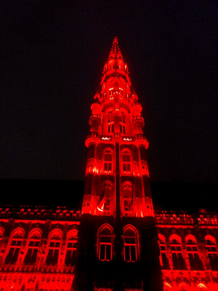 Brussel-Lights on Grand Place (7)