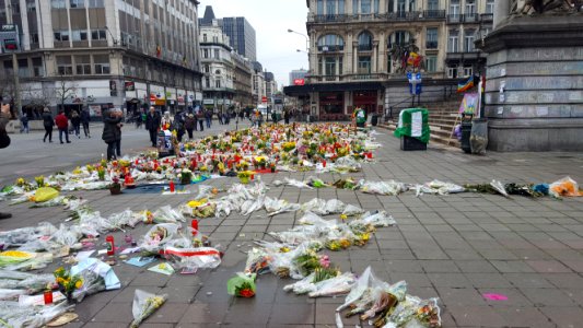 Brussels after the attacks (20)