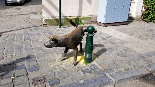 Bruxelles-Het Zinneke (2)
