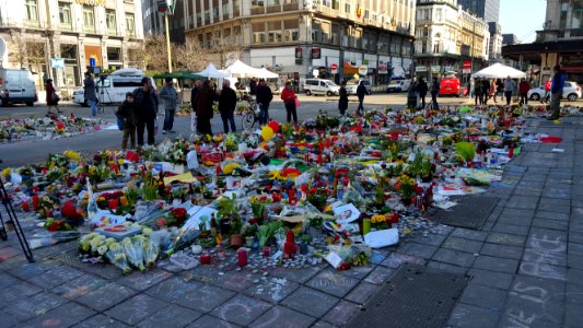 Brussels after the attacks (10)