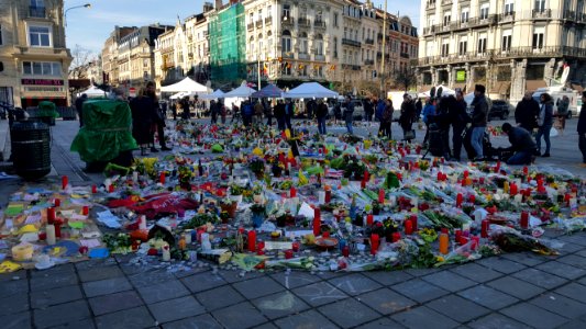 Brussels after the attacks (3)
