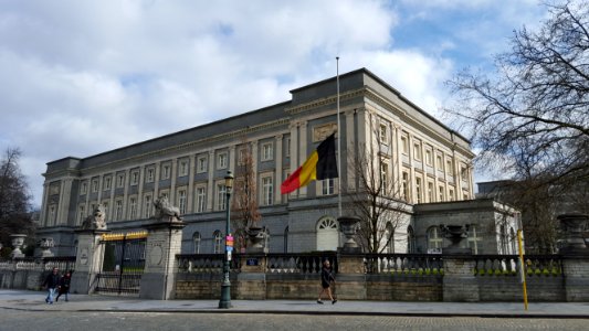 Brussels after the attacks (19)