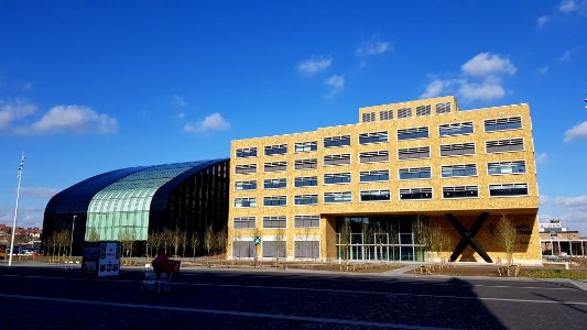 Brussels Environnement building (5)