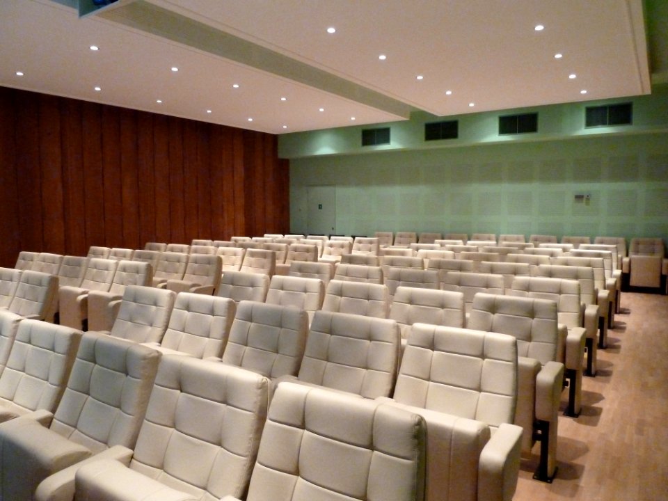 Brussels-KIK-IRPA-2