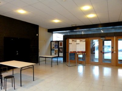 Brussels-KIK-IRPA-1