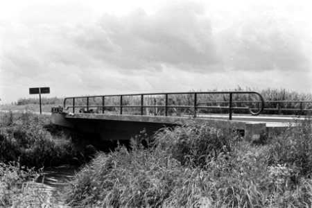 Brug te Dreumel of Druten (ruilverkaveling Maas en Waal), Bestanddeelnr 170-2199