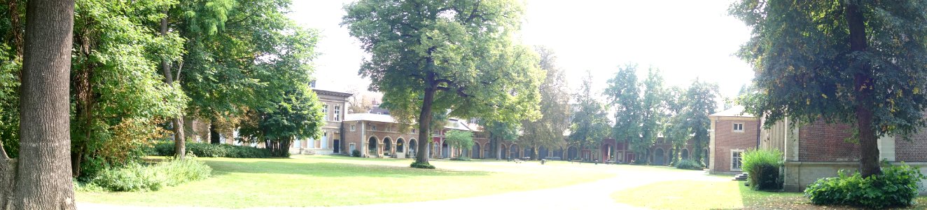 Bruzzel20