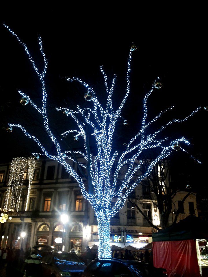 Brussel-Tree with lights