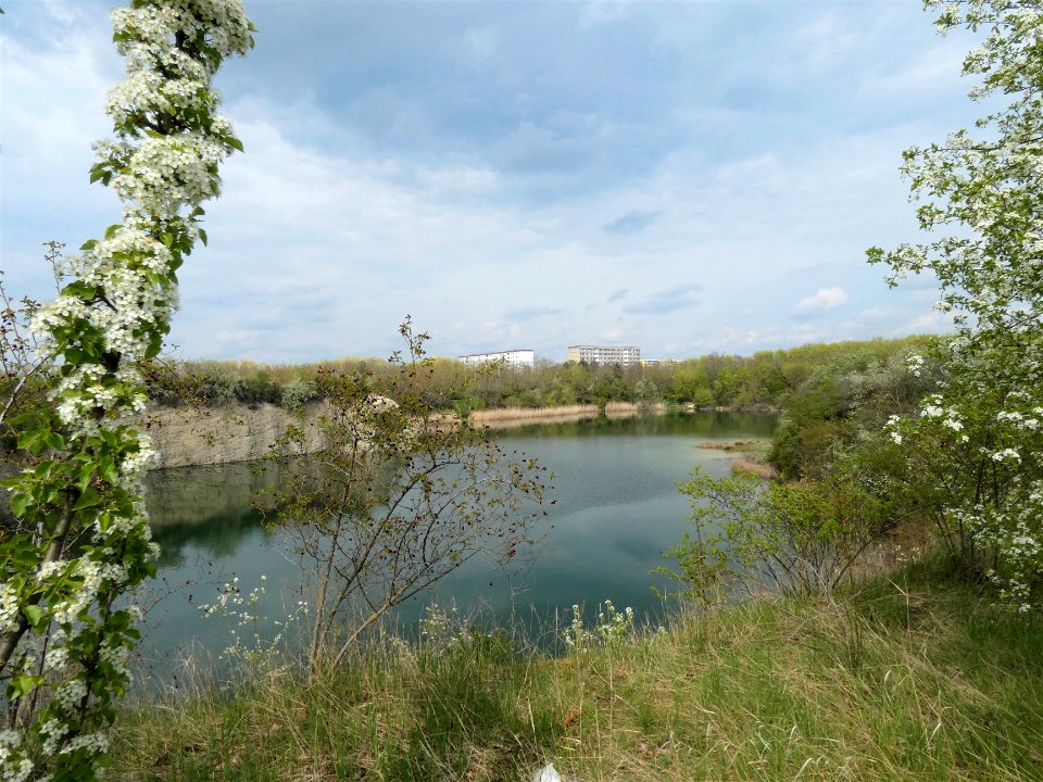 Bruchsee Halle-Neustadt (2)