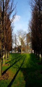 Brussels-Artwork V of Boulevard du Roi Albert II (4)