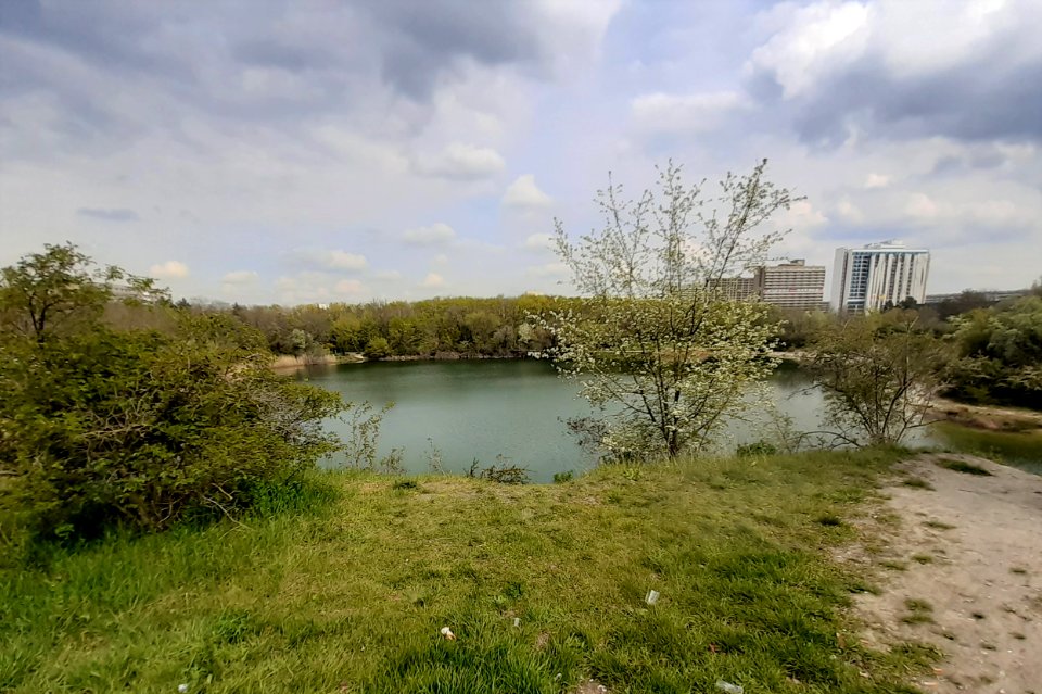 Bruchsee Halle-Neustadt (0)