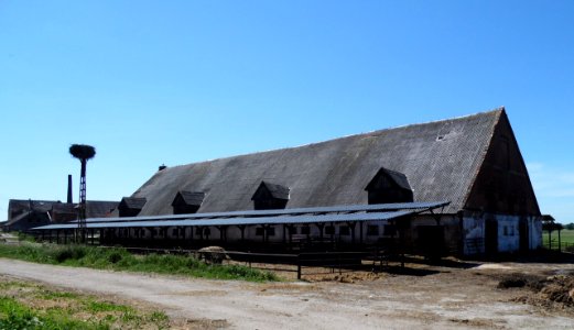 BRZEŹNICA,gm.Srokowo, pow. kętrzyński, AB - 014
