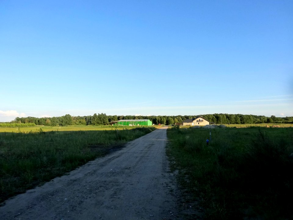 Brzoza Bydgoska Dziki Ostrow 2 08-2014