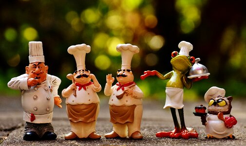 Cook restaurant gastronomy