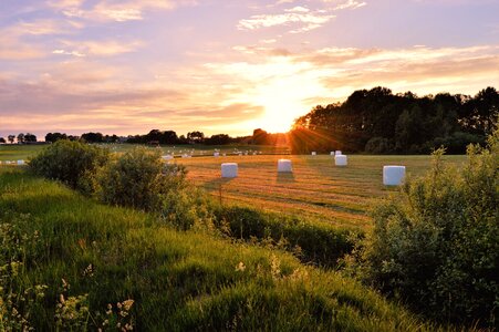 Beautifully nature summer photo